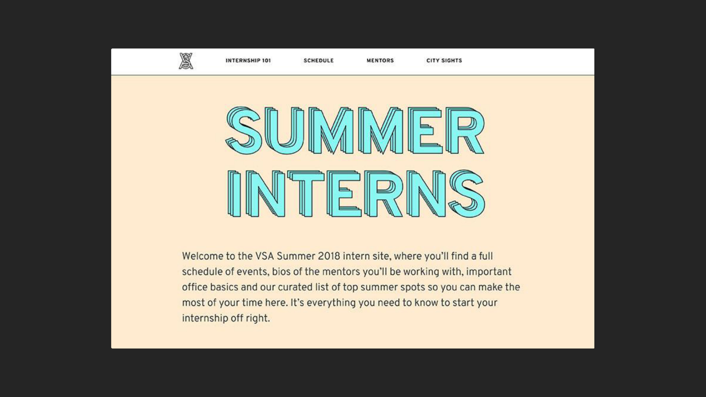 VSA Summer Interns - Image 1